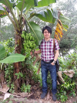 云飞拉手手简谱歌谱