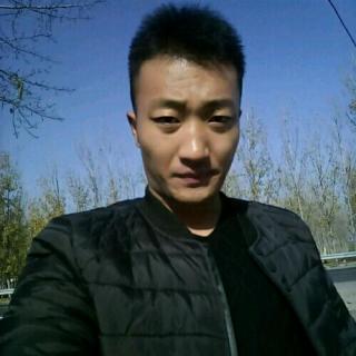 龙龙