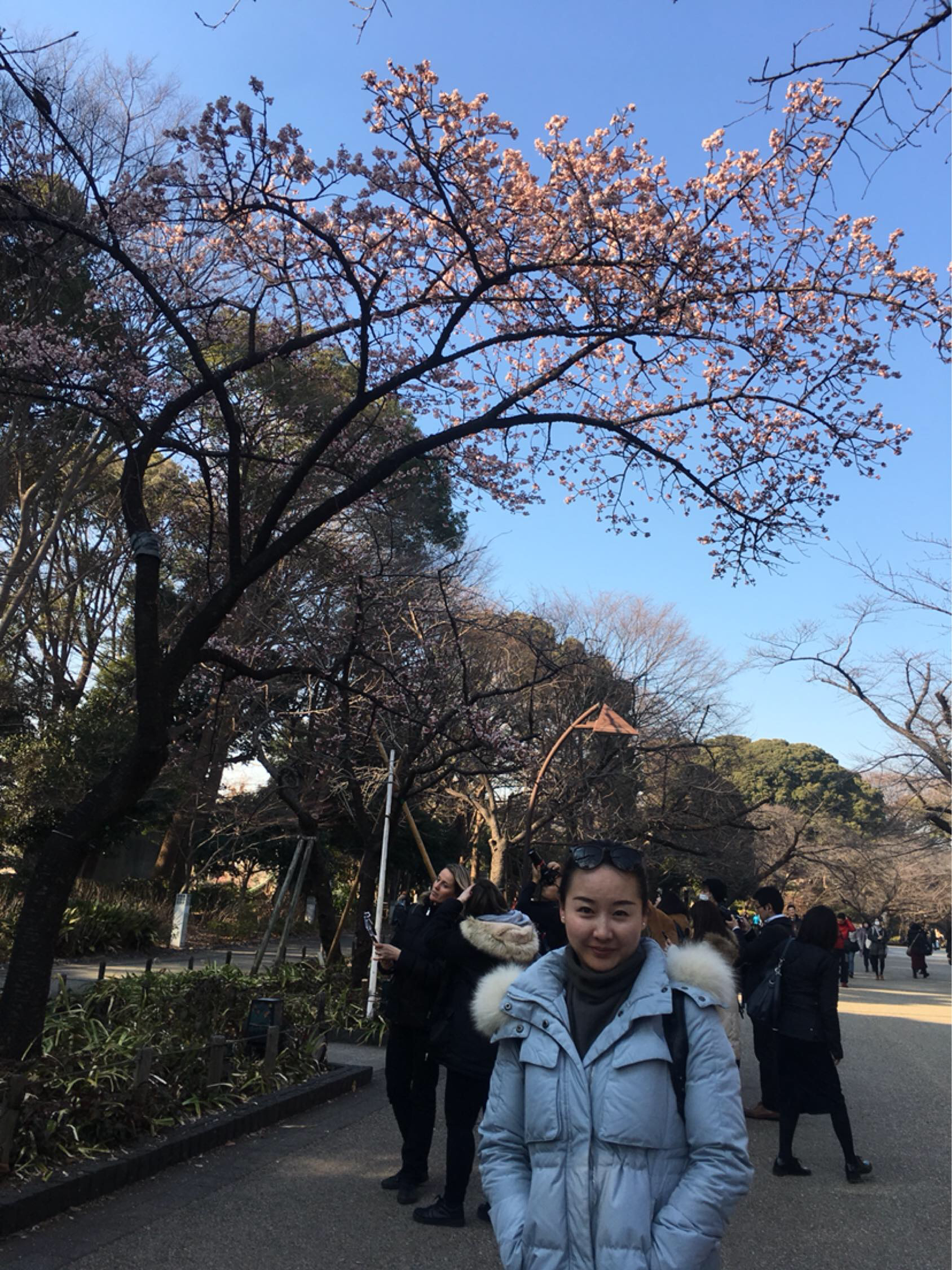 木子李
