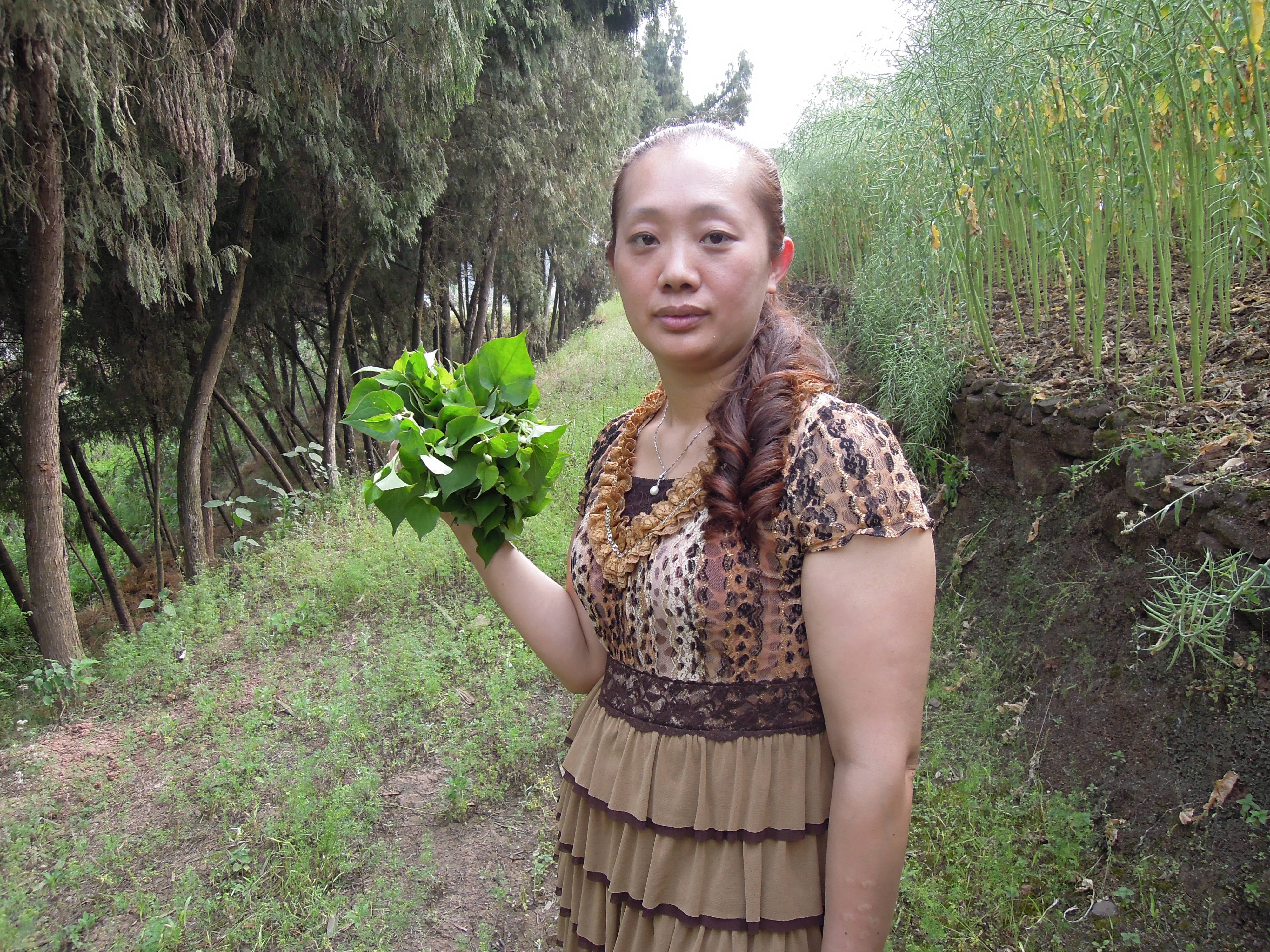 云南女人征婚 农村图片