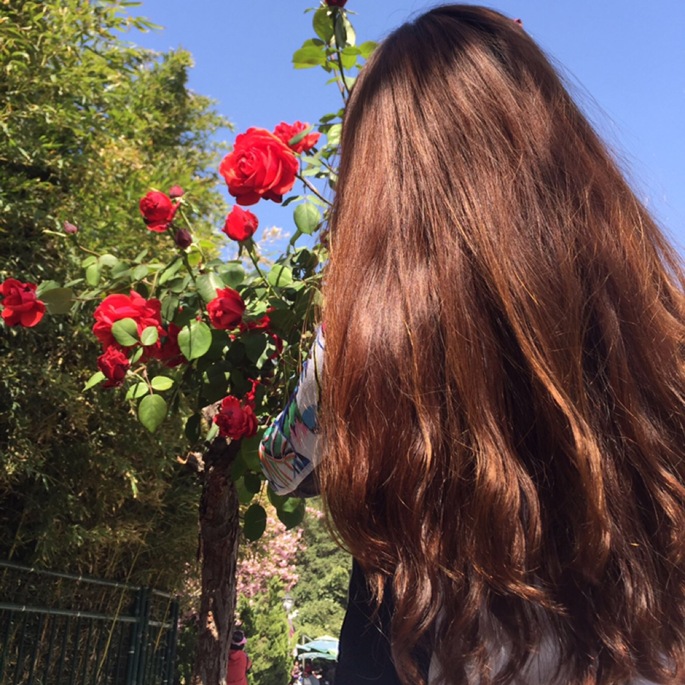 妮子资料照片_北京征婚交友_珍爱网