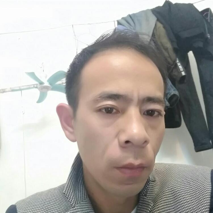 莫西照片